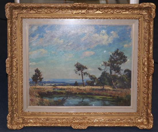 Thomas Lock Landscape with pine trees 16 x 20in.